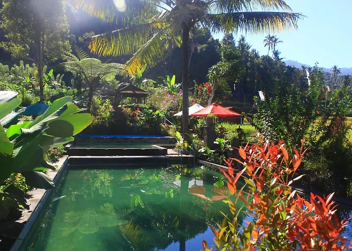 Amartya Puri Green Villa 2*