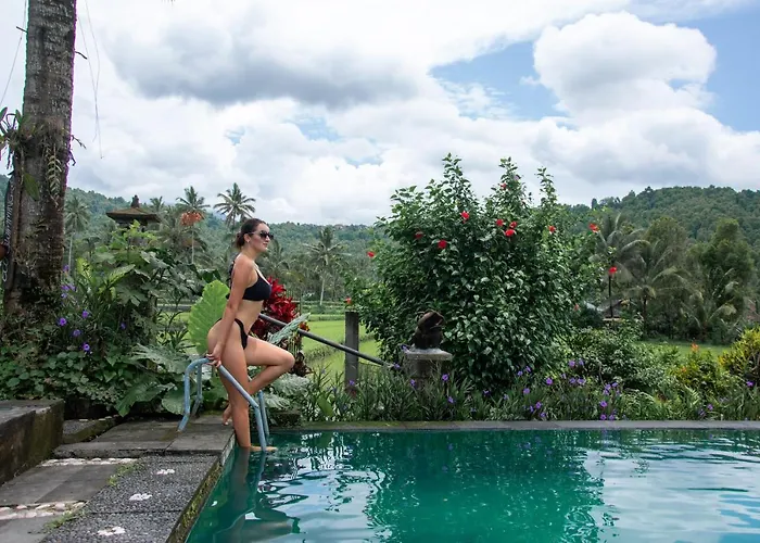 Amartya Puri Green Villa Bed & Breakfast 2*