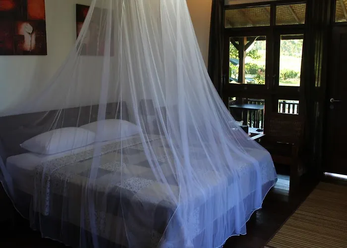 Amartya Puri Green Villa Bed & Breakfast