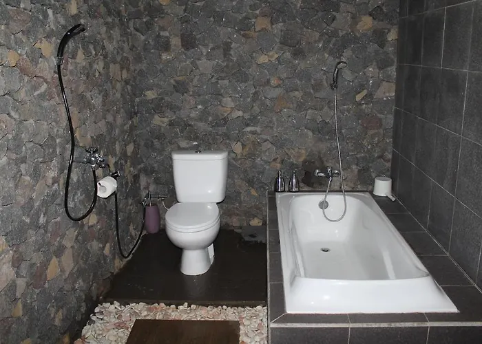 Amartya Puri Green Villa Bed & Breakfast