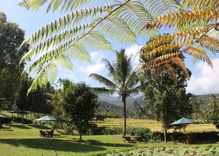 Bed & Breakfast Amartya Puri Green Villa 2*