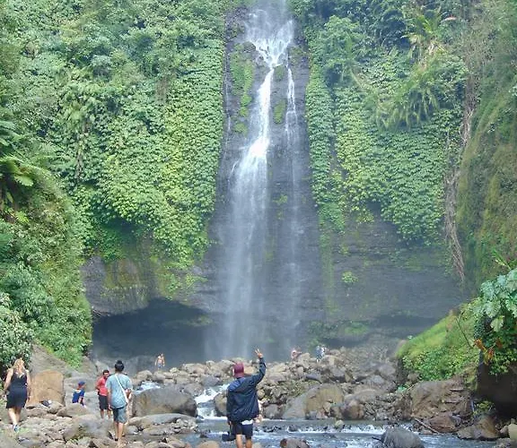 Amartya Puri Green Villa 2* Munduk