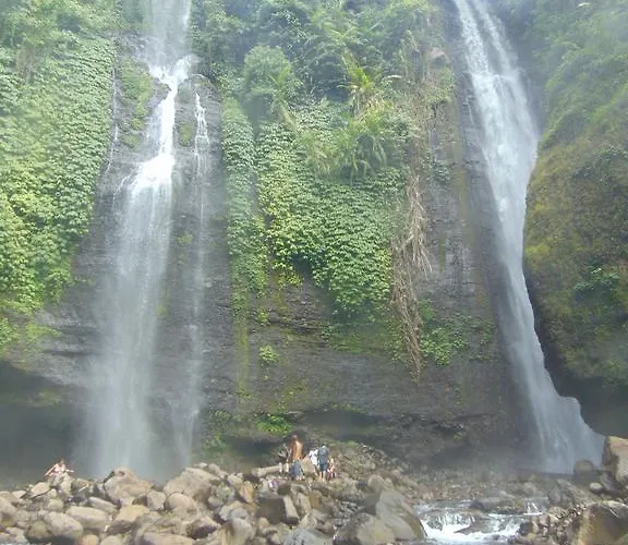 Amartya Puri Green Villa Munduk