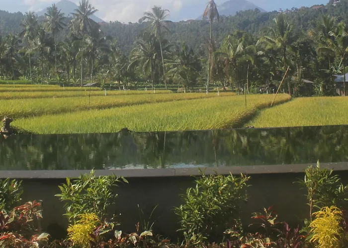 Amartya Puri Green Villa Bed & Breakfast 2*